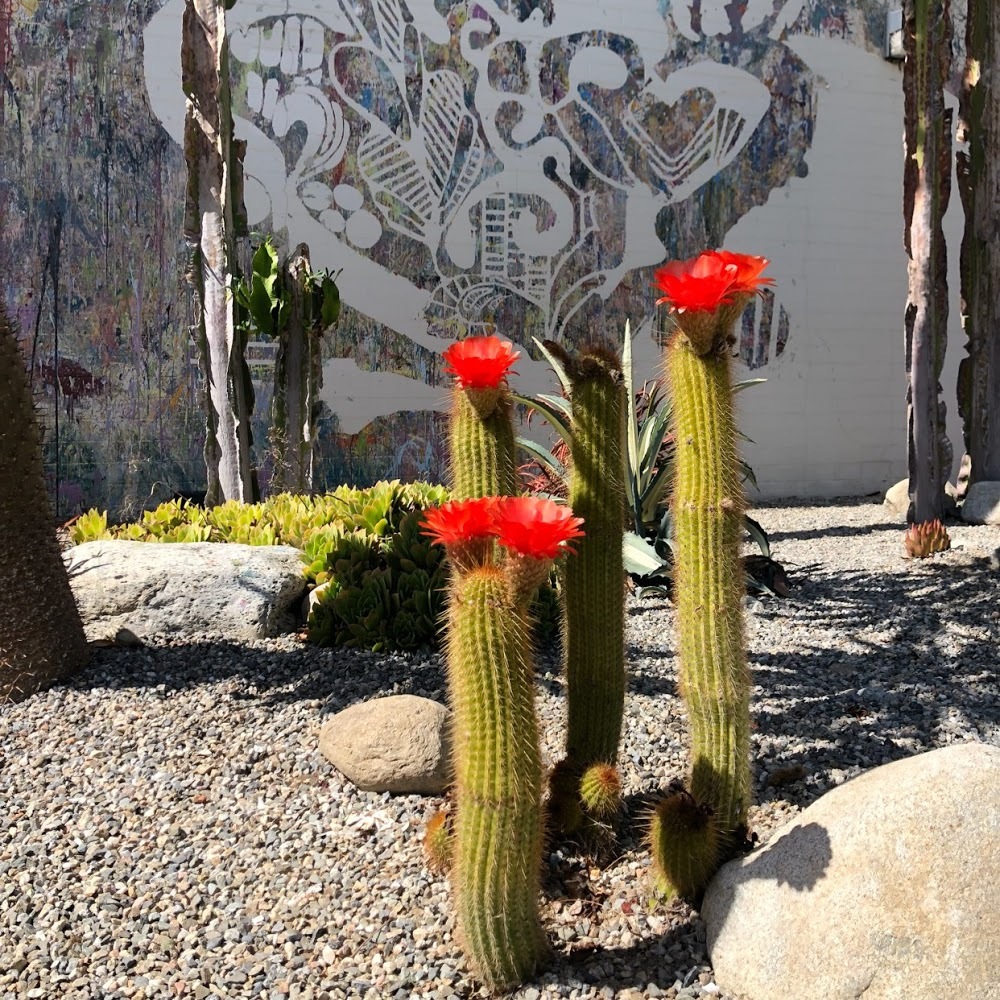 Meet your Posher, Arathzy